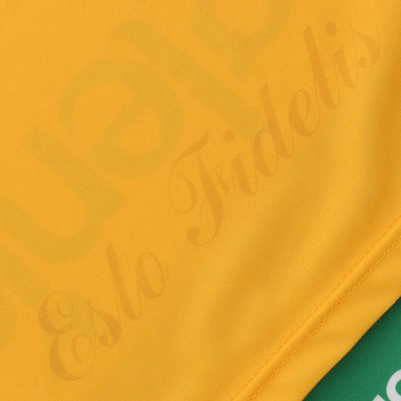 O'Neills Offaly GAA Home Jersey 2024 Junior - Image 3