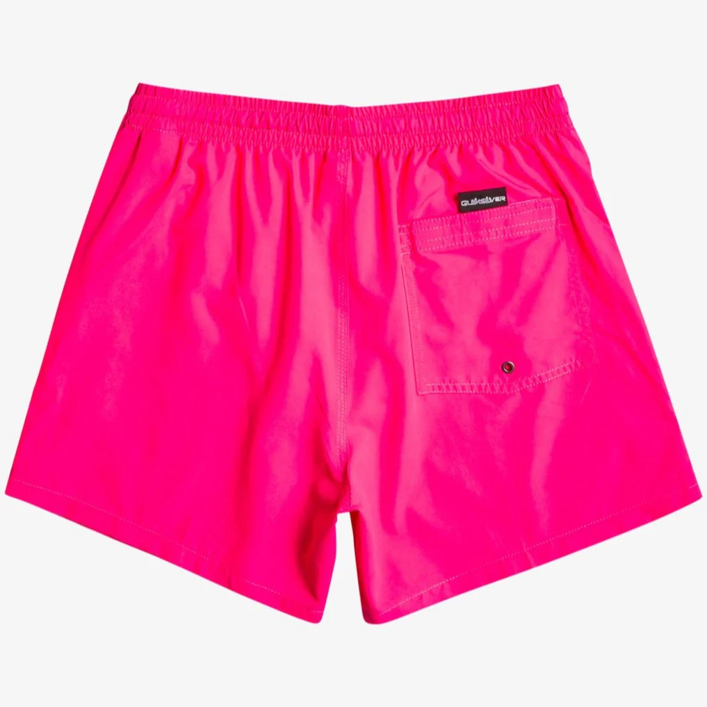 Quiksilver Everyday 15'' Swim Shorts Men's (Pink Glo MMY0) - Image 4