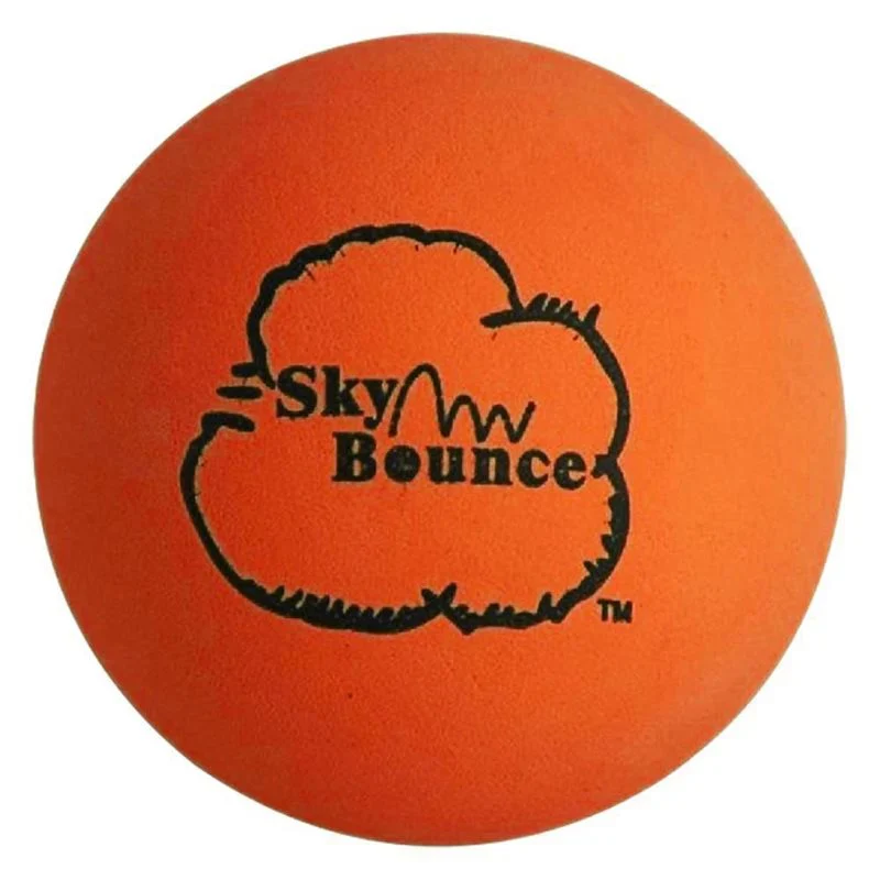 Skybounce One Wall Ball - Image 3